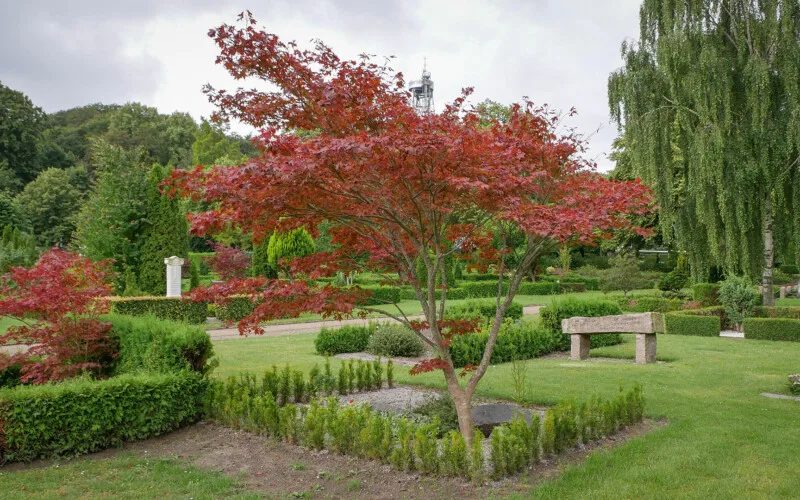 Særeje arv til børn - Skal arven efter dig være beskyttet?