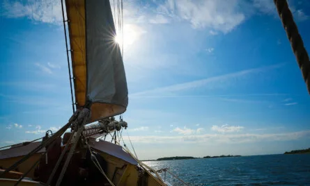 Fordeling af samvær i sommerferien