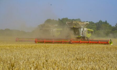 Ansættelsesforhold i landbruget