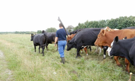 Personers erhvervelse af landbrugsejendomme