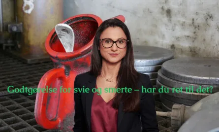 Godtg&oslash;relse for svie og smerte &ndash; har du ret til det?