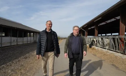 Den gode forberedelse ved salg af landbrug