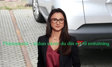 Piskesm&aelig;ld &ndash; s&aring;dan sikrer du din ret til erstatning