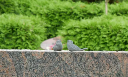 Hvad sker der, hvis en arving er forsvundet?