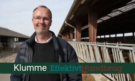 klumme i effektivt landbrug