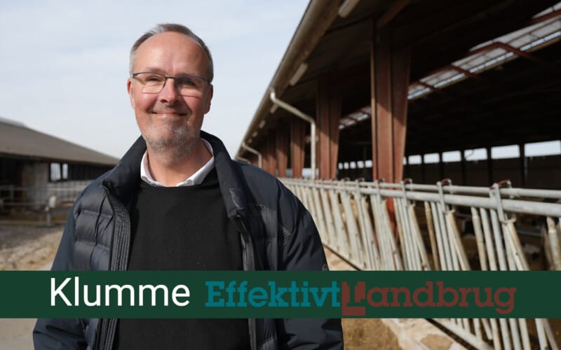 klumme i effektivt landbrug