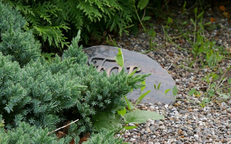 faldgruber i bobehandling