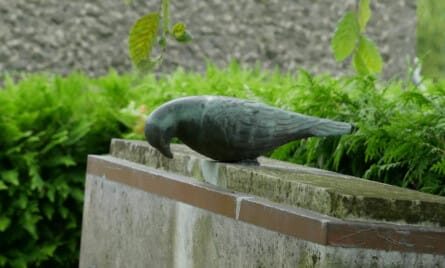 myndigheder efter dødsfald