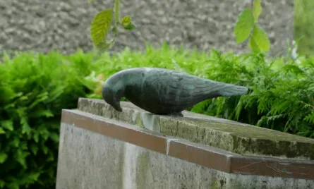 myndigheder efter dødsfald