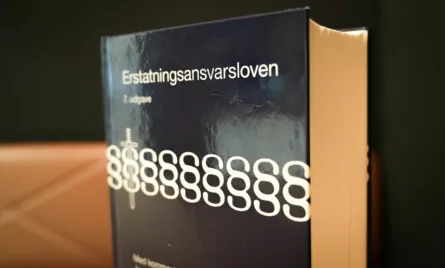 Erstatningsansvarsloven &sect;&sect;5 og 6