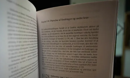Pr&oslash;velse af fordringer