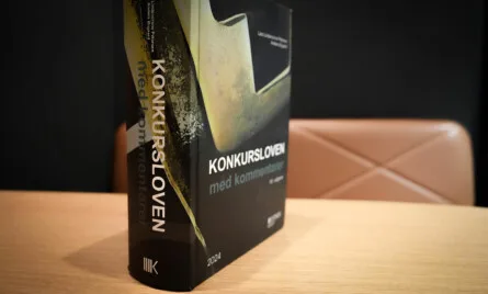 Retsvirkninger af rekonstruktionsbehandling