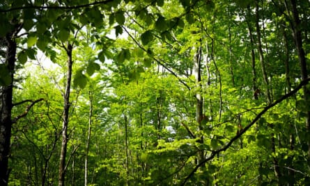 arbejdsskade fremtid