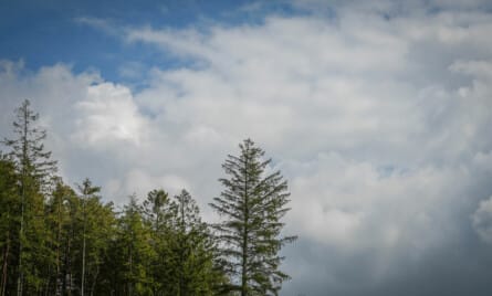 arbejdsskade psykiske følger