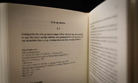 erstatningsansvarsloven &sect;3