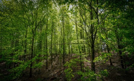 hvorn&aring;r d&aelig;kker arbejdsskadesikringen