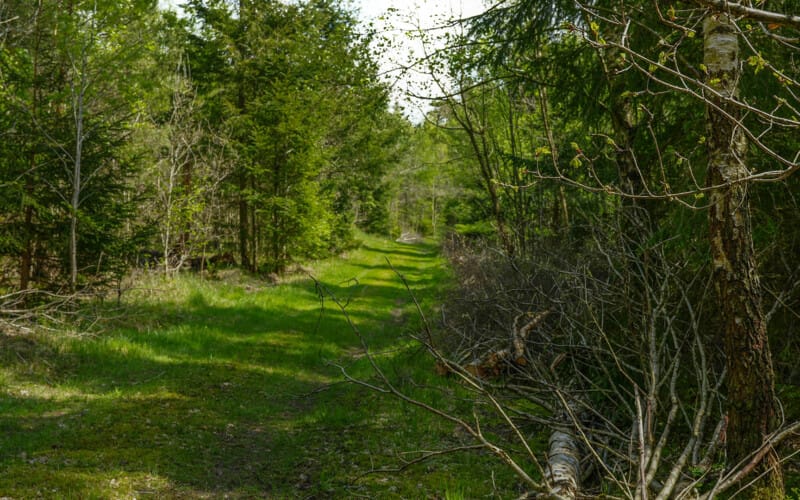 reglerne om bodeling