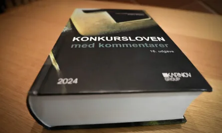 Rekonstruktionens virkninger