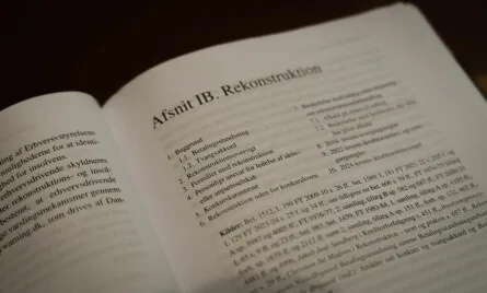 rekonstruktionsbehandling