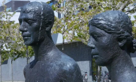 S&aelig;reje og delingsformue