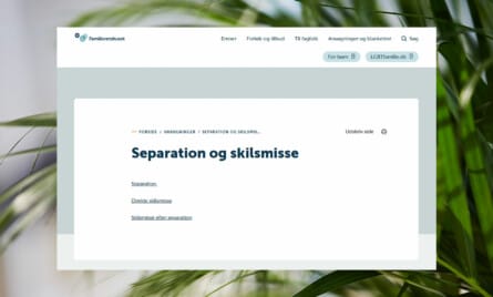 Separation og skilsmisse