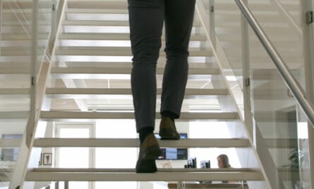 v&aelig;rdiskabende fusion