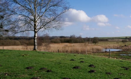 Bopælspligt ved køb af landbrug