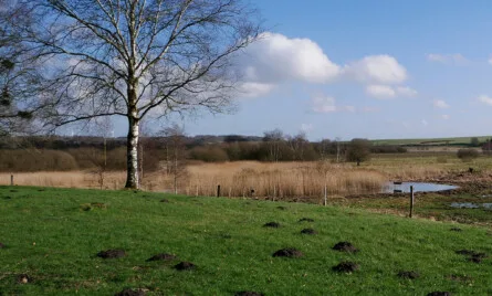 Bopælspligt ved køb af landbrug