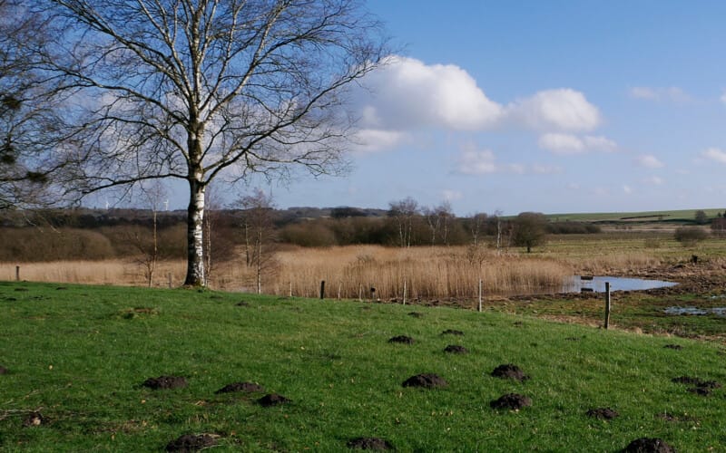 Bopælspligt ved køb af landbrug