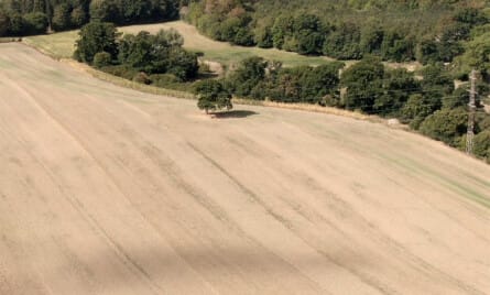 Oprettelse af ny landbrugsejendom
