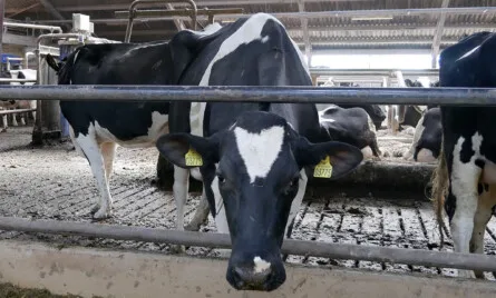 Selskabers køb af landbrugsejendom