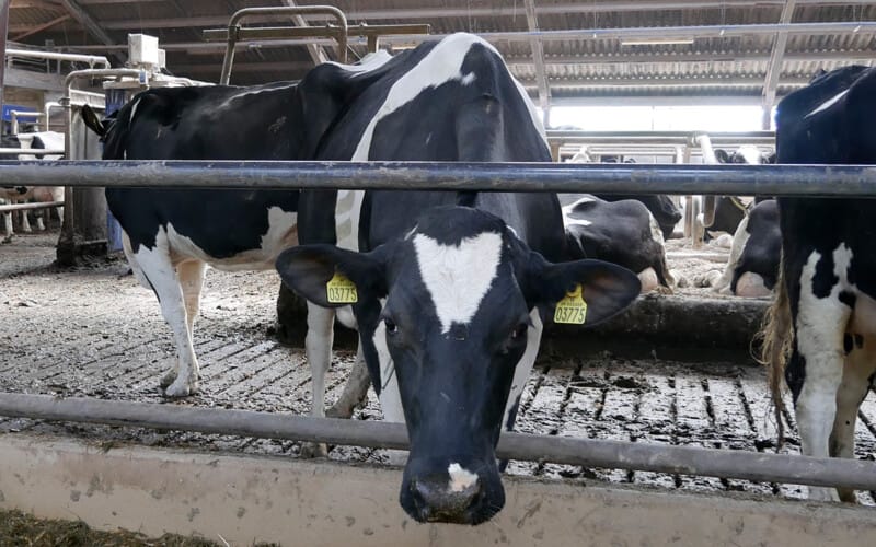 Selskabers køb af landbrugsejendom