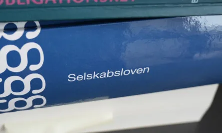 Undg&aring; ulovlige aktion&aelig;rl&aring;n (selvfinansiering)