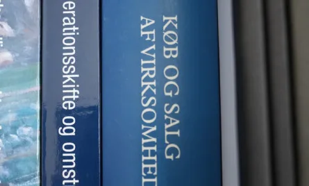 Kapitalejere &ndash; centrale emner i A/S og ApS