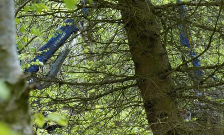 Kendelse fra Klagenævnet for Udbud tydeliggør ordregivers vide undersøgelsespligt