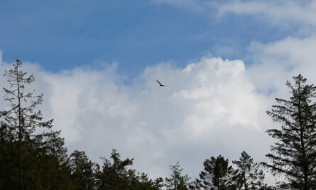 Fleksjob og tab af erhvervsevne under 15 %