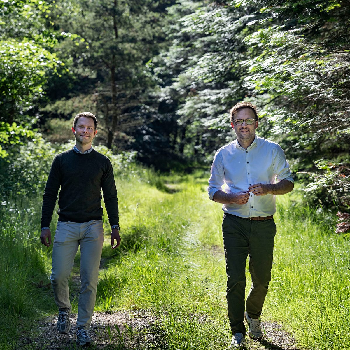 Miljø og planret